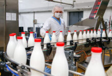 Photo of Нидерланды: объем производства молока увеличился на 5% благодаря инвестициям