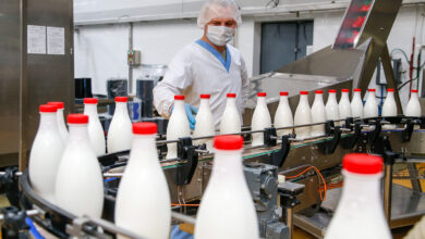 Photo of Нидерланды: объем производства молока увеличился на 5% благодаря инвестициям