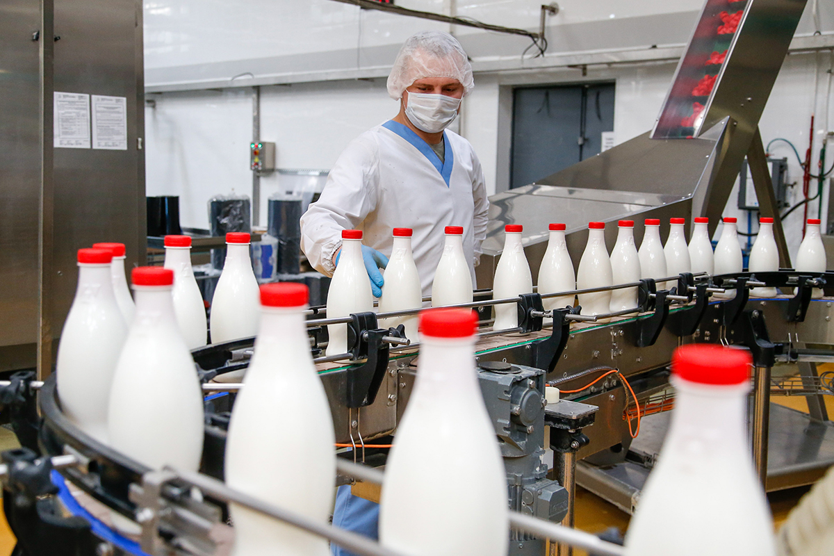 Фото 33 — Нидерланды: объем производства молока увеличился на 5% благодаря инвестициям