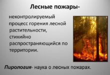 Photo of Австралия: Лесные пожары и изменение климата