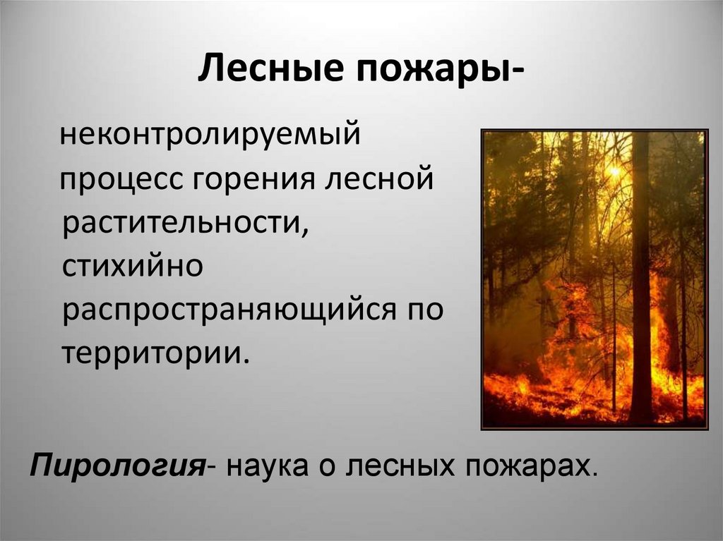 Фото 40 — Австралия: Лесные пожары и изменение климата