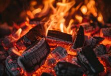 Photo of Австралия: добыча угля увеличилась на 7% в первом полугодии